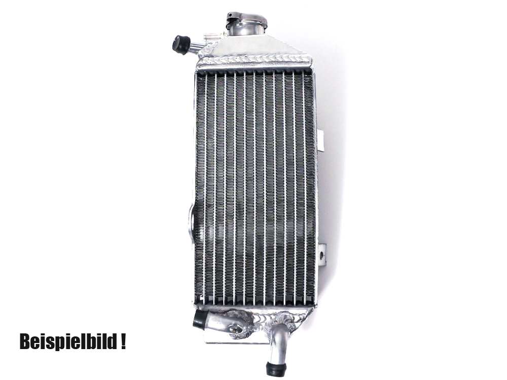 Kühler Beta mit Deckel RR250/300 2T 2013- 15